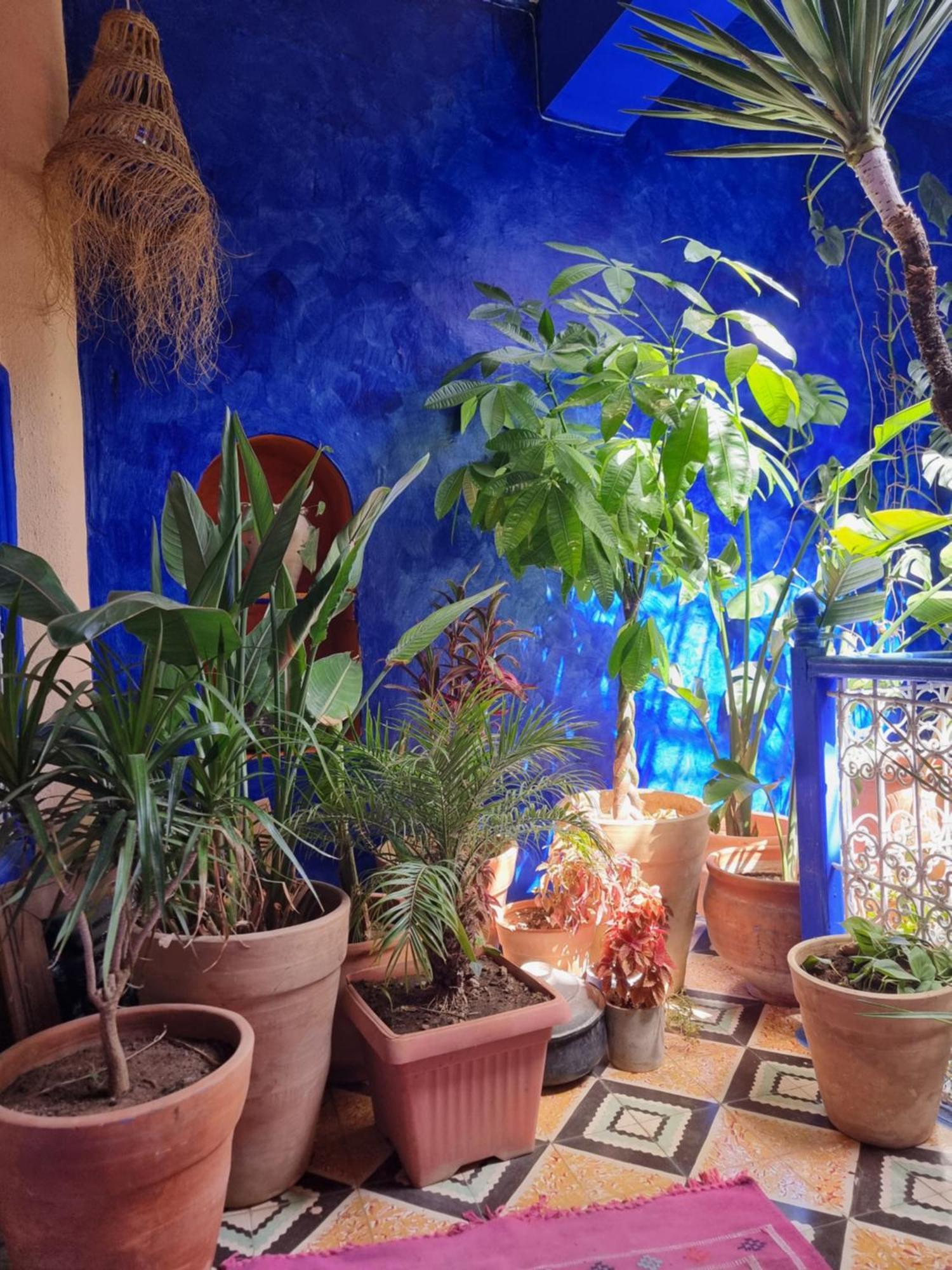 Casa Amina Chefchaouen Exterior foto